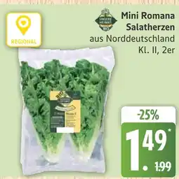 Marktkauf Mini romana salatherzen Angebot
