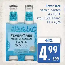 Marktkauf Fever tree versch. sorten Angebot