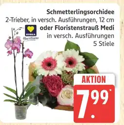 Marktkauf Herzstücke schmetterlingsorchidee Angebot