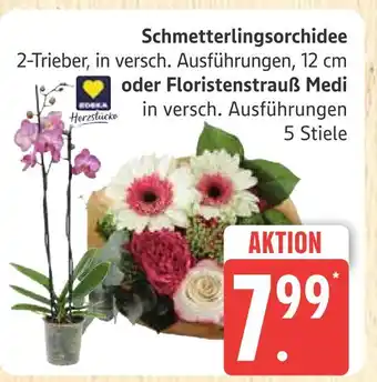 Marktkauf Herzstücke schmetterlingsorchidee Angebot