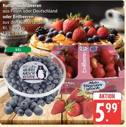 Marktkauf Kulturheidelbeeren Angebot