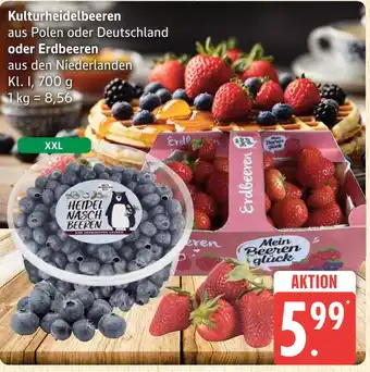 Marktkauf Kulturheidelbeeren Angebot