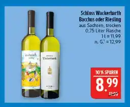 Marktkauf Schloss wackerbarth bacchus Angebot