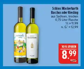 Marktkauf Schloss wackerbarth bacchus Angebot