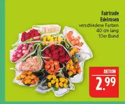 Marktkauf Fairtrade edelrosen Angebot