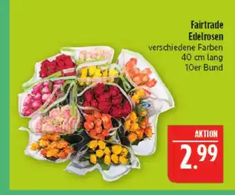 Marktkauf Fairtrade edelrosen Angebot
