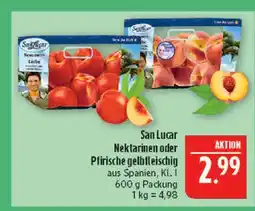 Marktkauf San lucar nektarinen Angebot