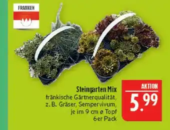 Marktkauf Franken steingarten mix Angebot