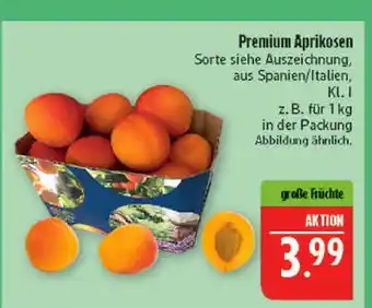 Marktkauf Premium aprikosen Angebot