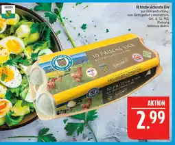 Marktkauf Geflügelhof lommatzsch 10 frische sächsische eier Angebot