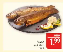 Marktkauf Forelle Angebot