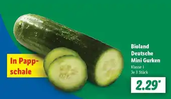 Lidl Bioland Deutsche Mini Gurken Angebot