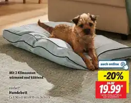 Lidl zoofari Hundebett Angebot