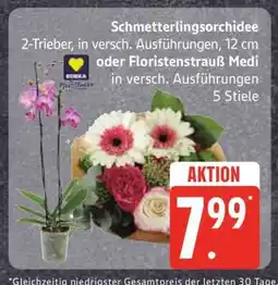 Edeka Schmetterlingsorchidee oder Floristenstrauß Medi Angebot