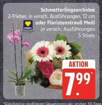 Edeka Schmetterlingsorchidee oder Floristenstrauß Medi Angebot