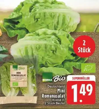 Edeka Mini-Romanasalat Angebot