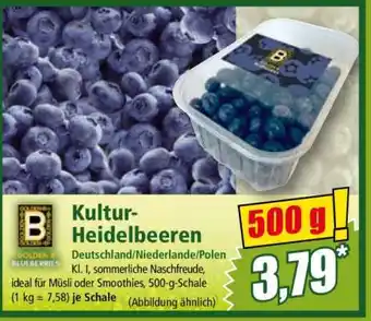 Norma Kultur­ heidelbeeren Angebot