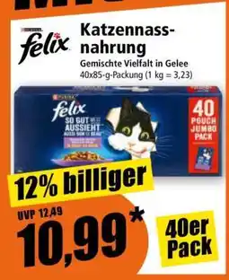 Norma Katzennassnahrung Angebot