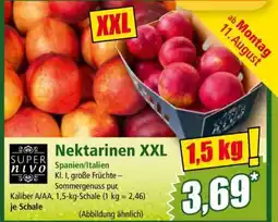 Norma Nektarinen XXL Angebot
