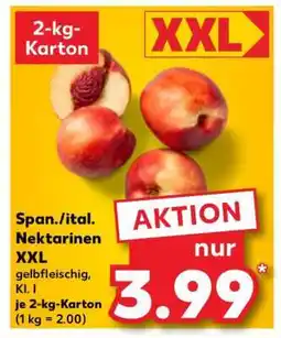 Kaufland Span./ital. Nektarinen XXL Angebot