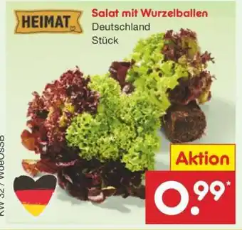 Netto Marken-Discount Salat mit Wurzelballen Angebot