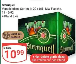 Globus Sternquell verschiedene sorten Angebot