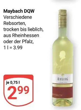 Globus Maybach d.q.w Angebot