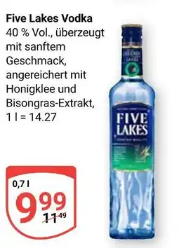 Globus Five lakes vodka Angebot