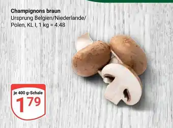 Globus Champignons braun Angebot
