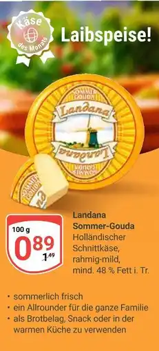 Globus Landana sommer-gouda Angebot