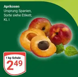 Globus Aprikosen Angebot
