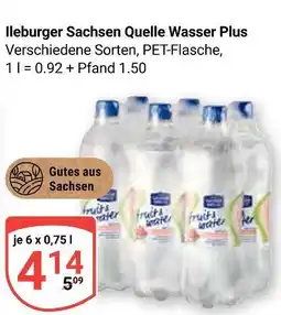 Globus Ileburger sachsen quelle wasser plus Angebot