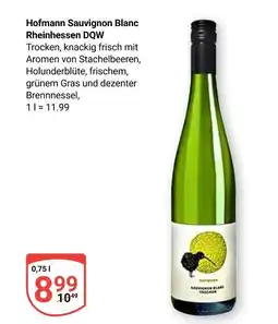 Globus Hofmann sauvignon blanc rheinhessen dqw Angebot