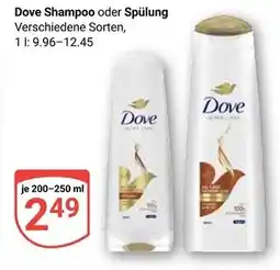 Globus Dove shampoo Angebot