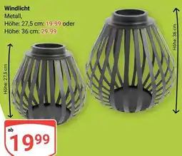 Globus Windlicht Angebot