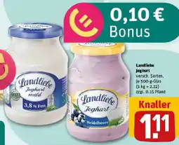 REWE Landliebe Joghurt Angebot