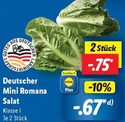 Lidl Deutscher Mini Romana Salat Angebot
