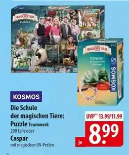 Famila Nord Ost Die Schule der magischen Tiere: Puzzle Teamwork oder Caspar Angebot