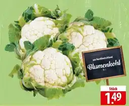 Famila Nord Ost Blumenkohl Angebot
