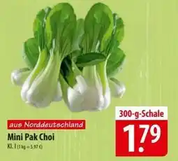 Famila Nord Ost Mini Pak Choi Angebot