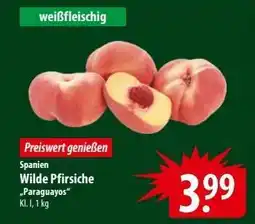 Famila Nord Ost Wilde Pfirsiche 'Paraguayos' Angebot