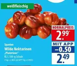 Famila Nord Ost Wilde Nektarinen „Platerinas“ Angebot