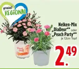 Edeka Nelken-Mix 'DiaDeur' oder 'Peach Party' Angebot