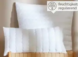 XXXLutz Billerbeck Kopfkissen Antigua Angebot