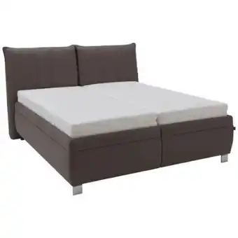 XXXLutz Dieter Knoll Polsterbett Angebot