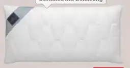 XXXLutz Billerbeck Nackenstützkissen Novum Angebot