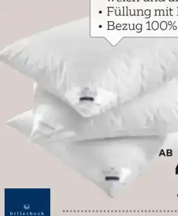 XXXLutz Billerbeck Kopfkissen Polarstern Angebot