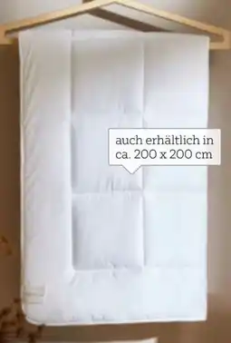 XXXLutz Billerbeck Ganzjahresbett Antigua Angebot