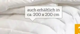 XXXLutz Billerbeck Ganzjahresbett Alcando Angebot