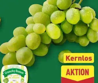 Aldi Nord Crunchy Dream Tafeltrauben Angebot